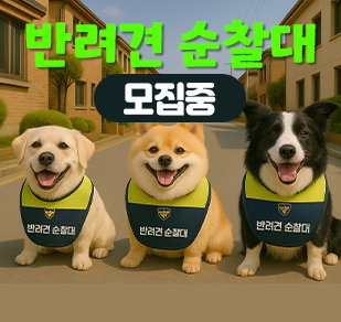 KakaoTalk_20250429_090250459_02.jpg_이미지