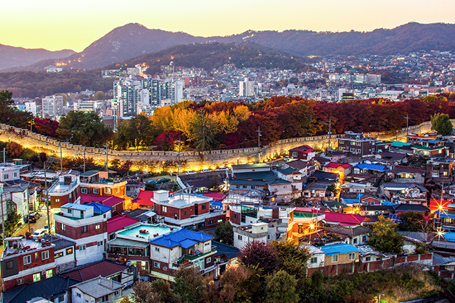 일반 이미지8