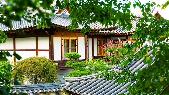 일반 이미지10