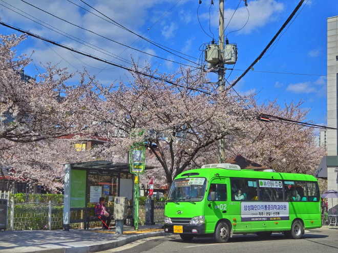 봄: 화분에 핀 꽃