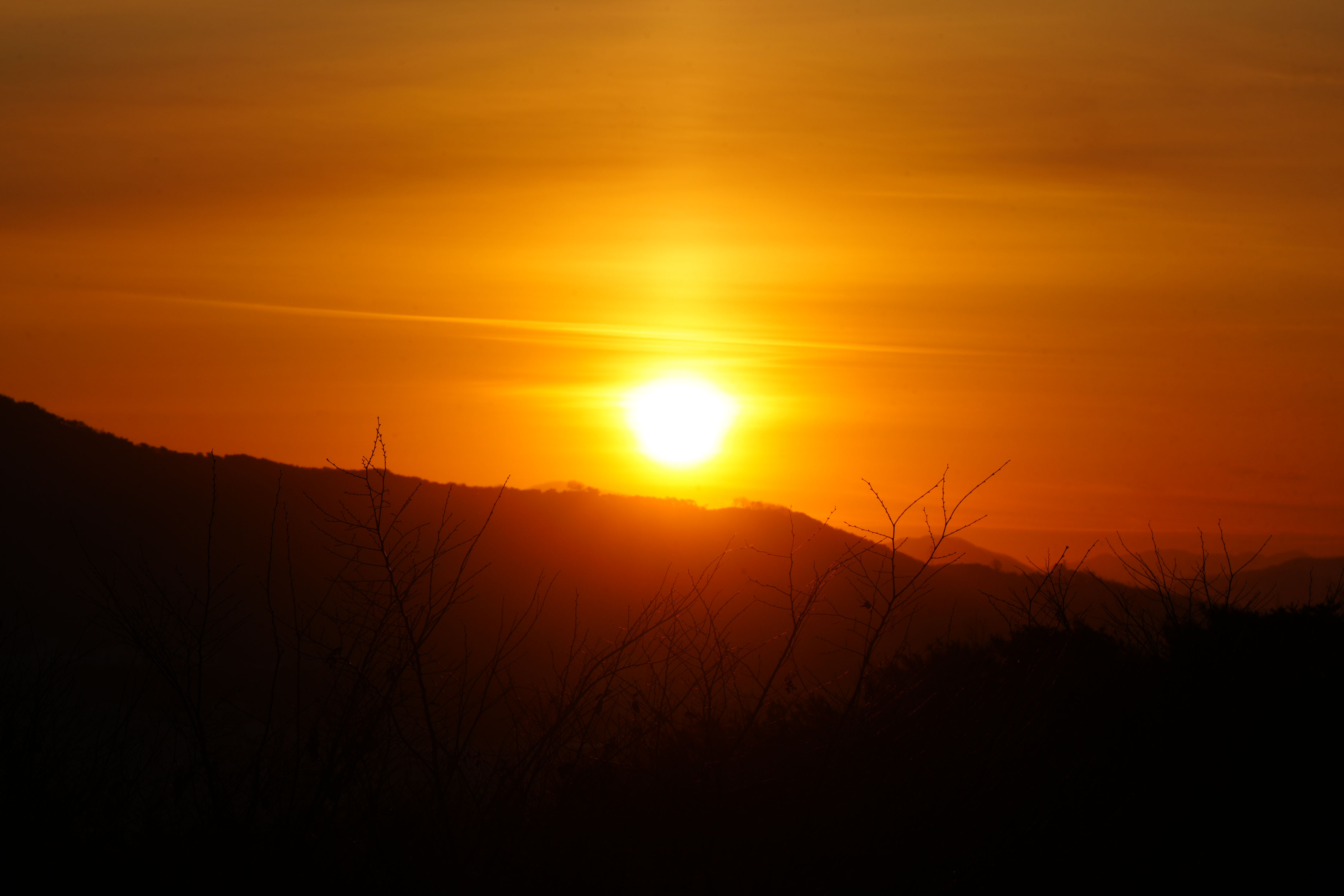 2026 병오년 성북 해맞이 이미지