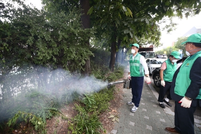 새마을방역단 방역 실시