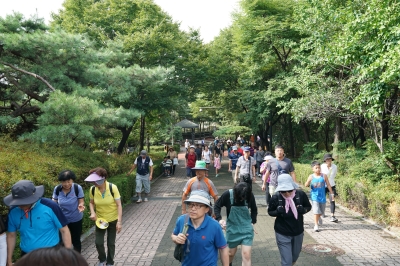 성북구민 걷기대회
