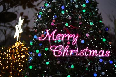 성탄목 점등식 &amp; 성탄 축하예배