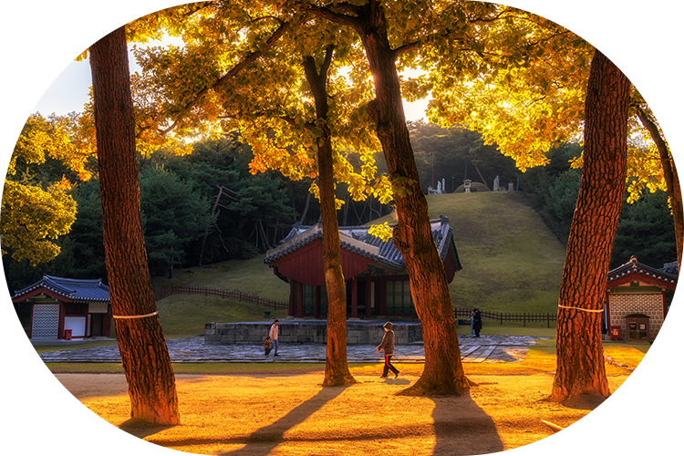 Jeongneung