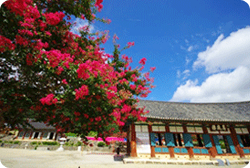 고창 선운사