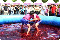 복분자축제