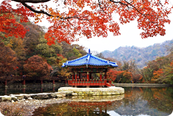 내장산 국립공원