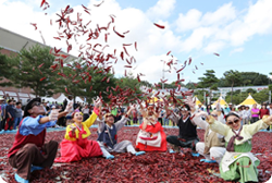 괴산고추축제