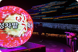 보성차밭빛축제