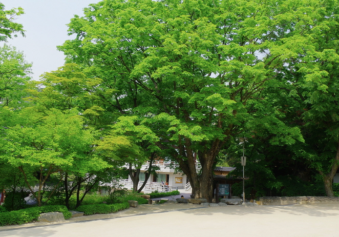 일반 부문 작은 이미지17