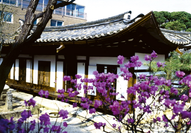 일반 부문 작은 이미지31