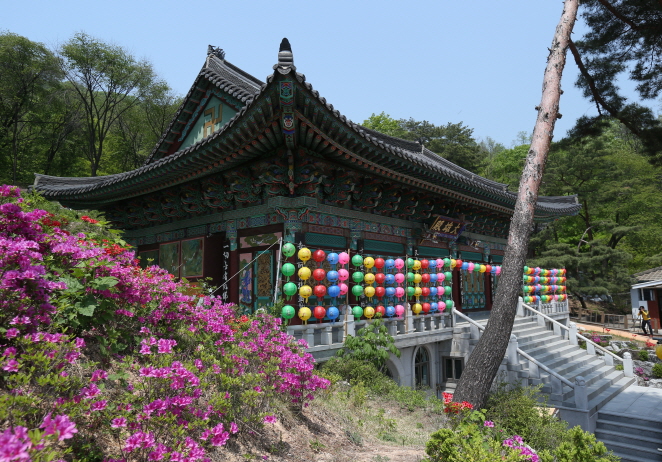 일반 부문 작은 이미지35