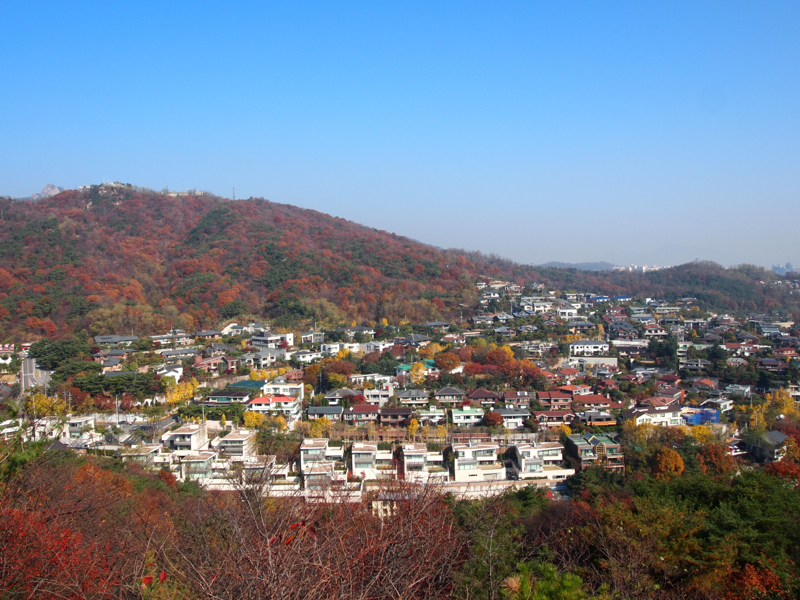 일반 부문 작은 이미지14