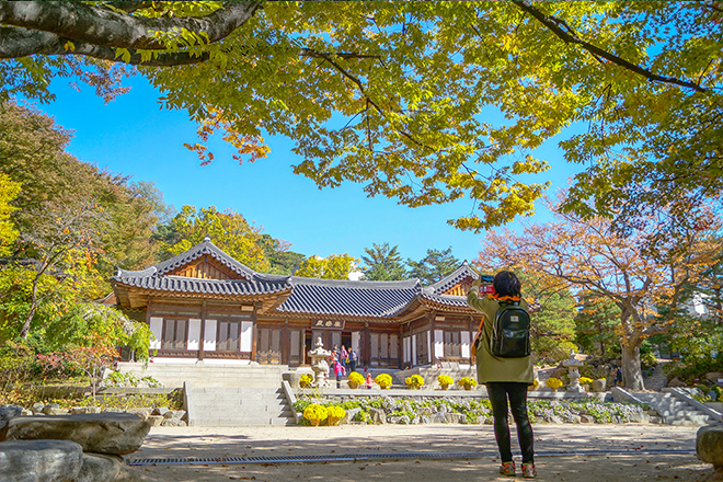 일반 부문 작은 이미지7