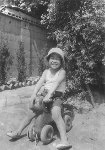 일반 부문 작은 이미지19