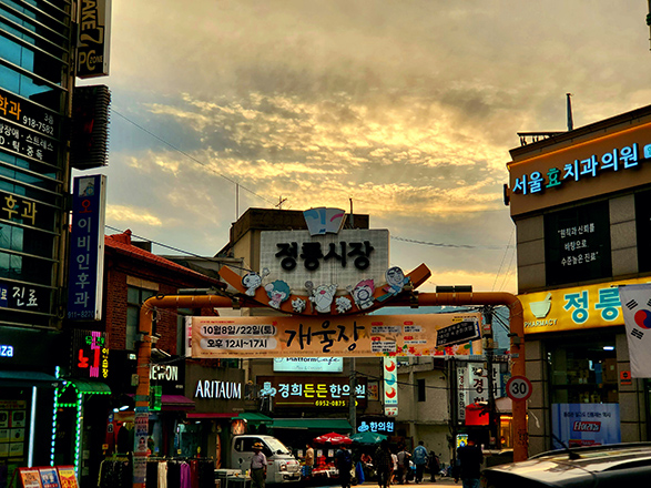 일반 부문 작은 이미지21