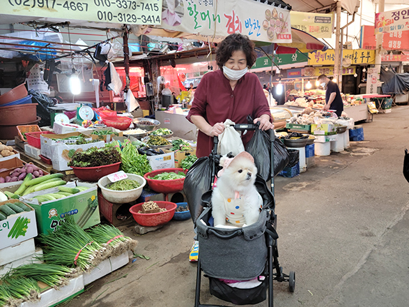 일반 부문 작은 이미지7