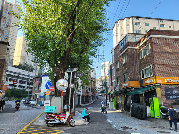 일반 부문 작은 이미지71